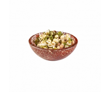Chén thủy tinh handmade mini Rosseto GLS056C