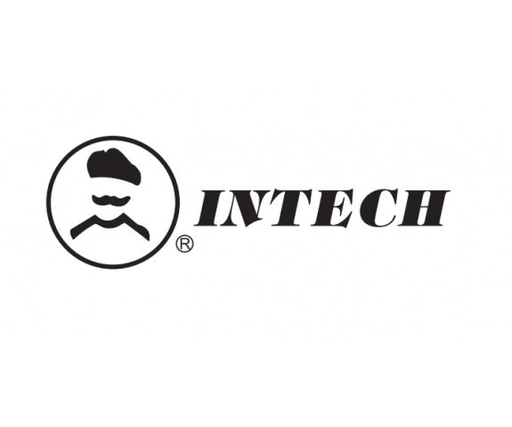 BẾP ĐIỆN TỪ INTECH