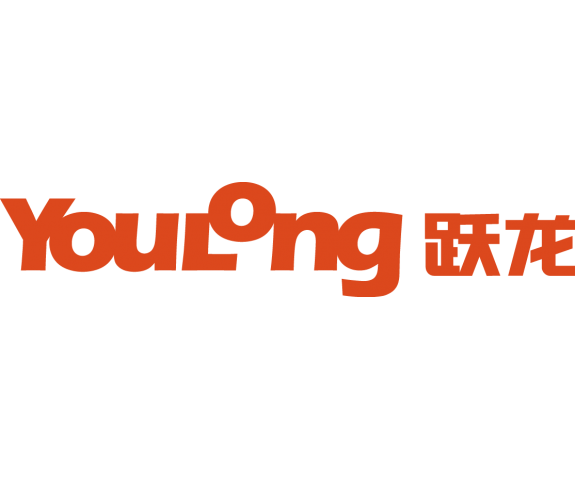 BẾP ĐIỆN TỪ YOULONG